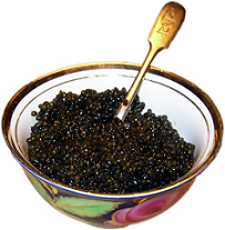kaviár
